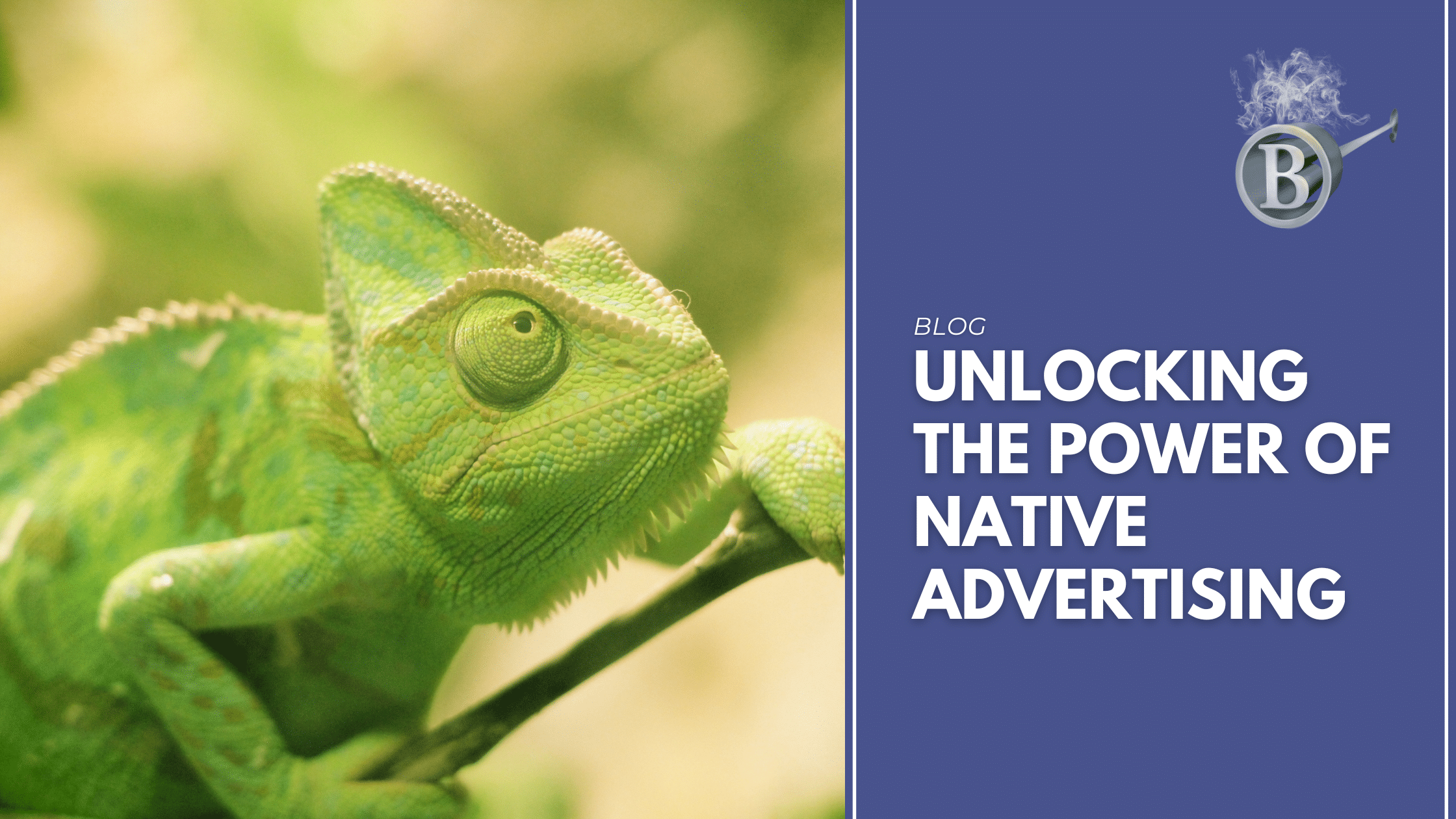 Unlocking the Power of Native Advertising